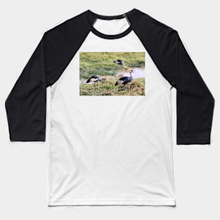 Grey Crowned Crane, Kenya Baseball T-Shirt